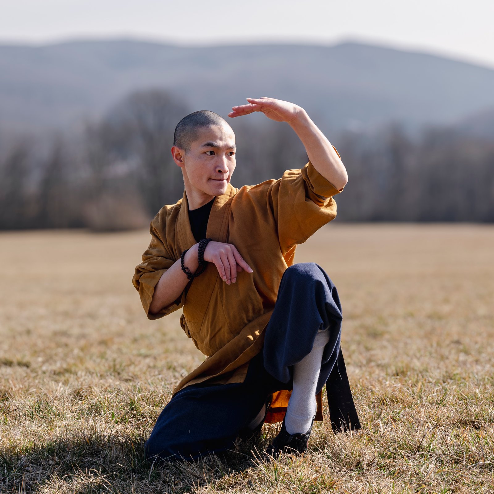 Tierformen affen form