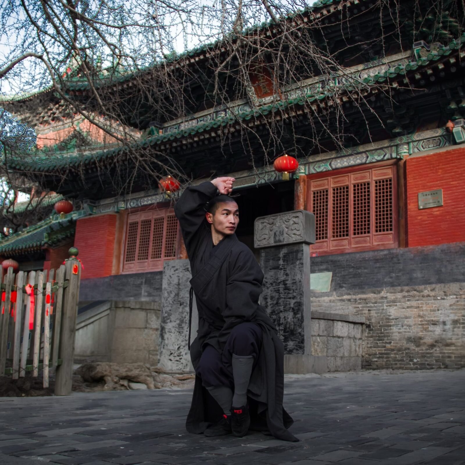 Faustformen da hong quan