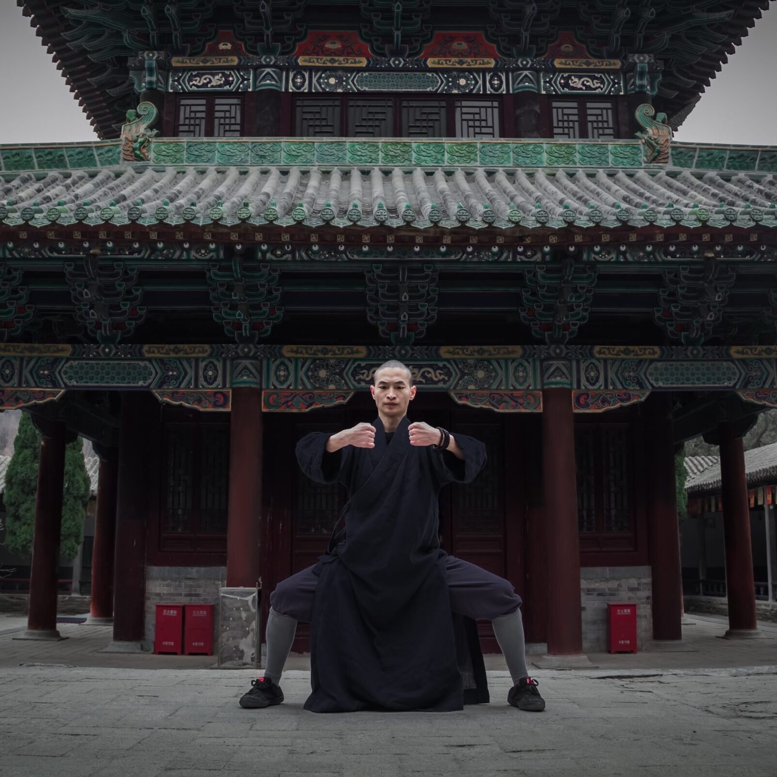 Faustformen da luohan quan