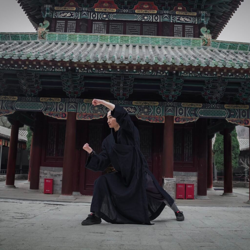 Faustformen da meihua quan