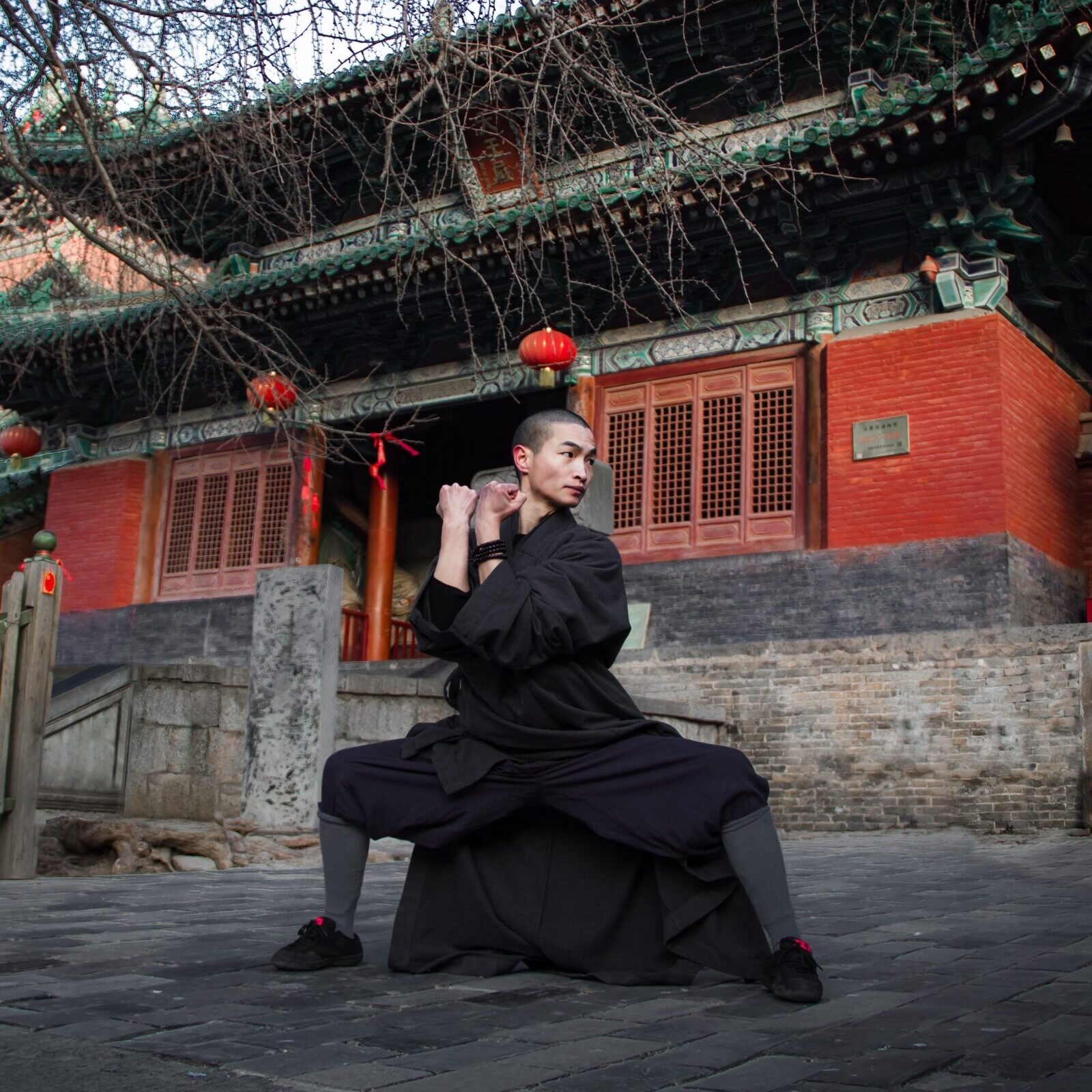 Faustformen da pao quan