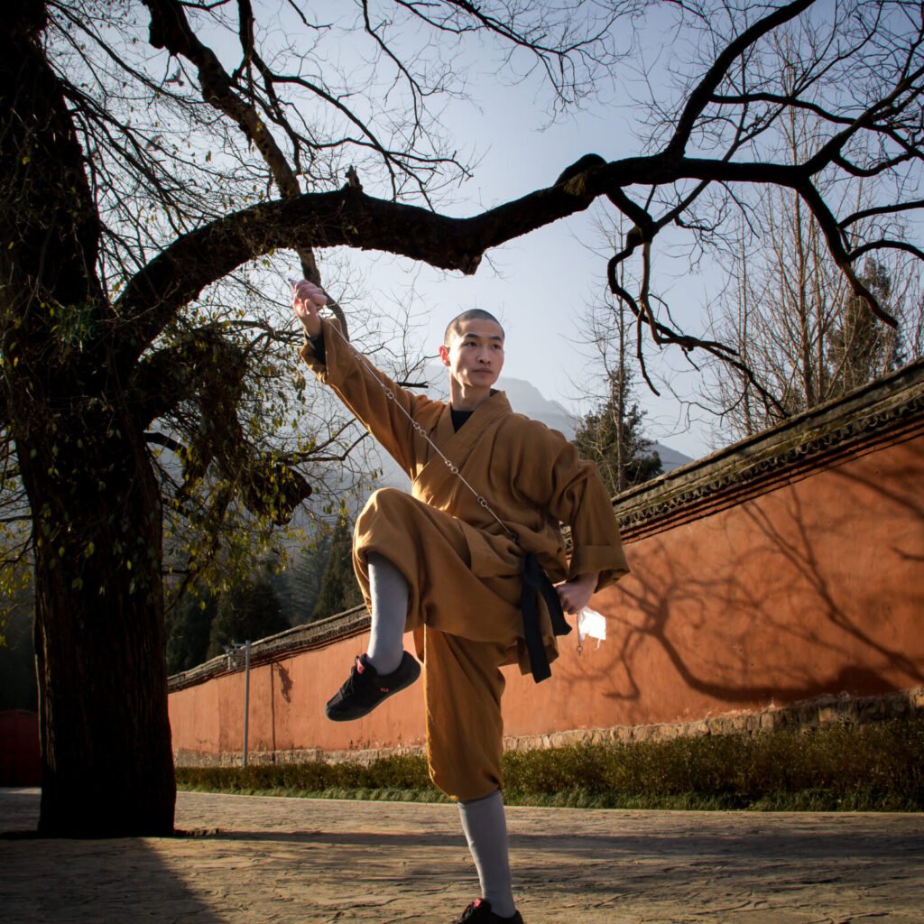 Waffen doppel neun glieder peitsche