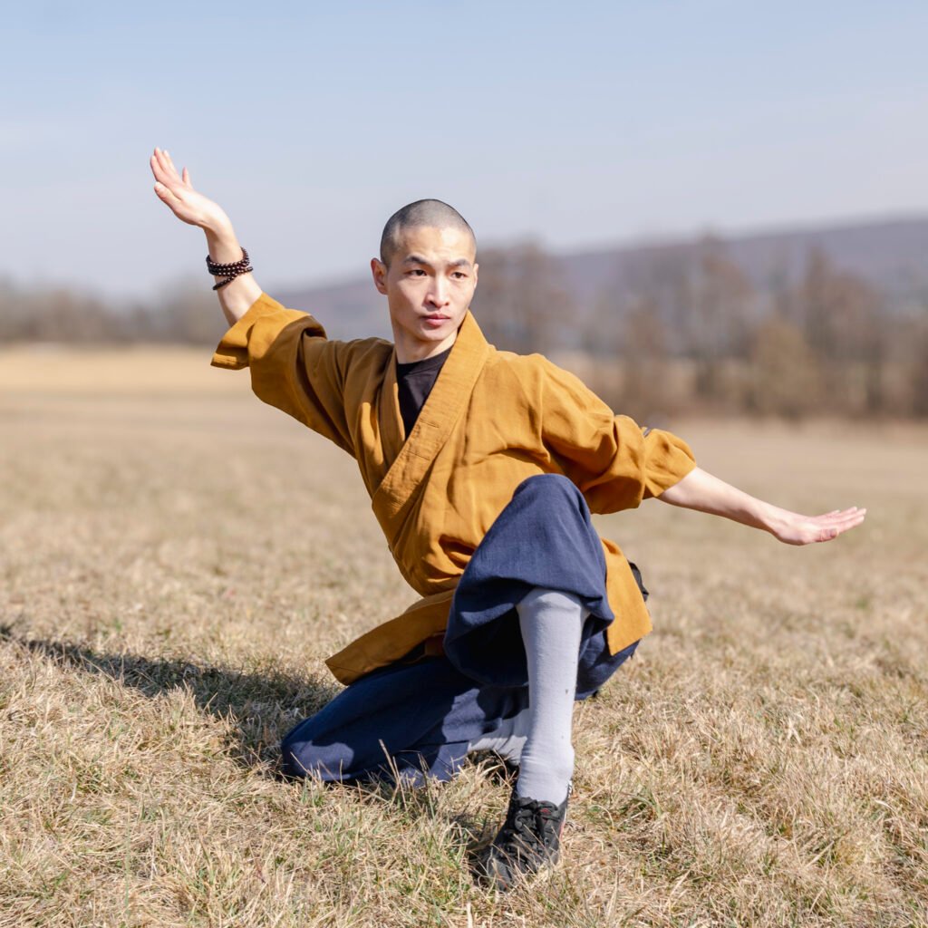 Tierformen enten form