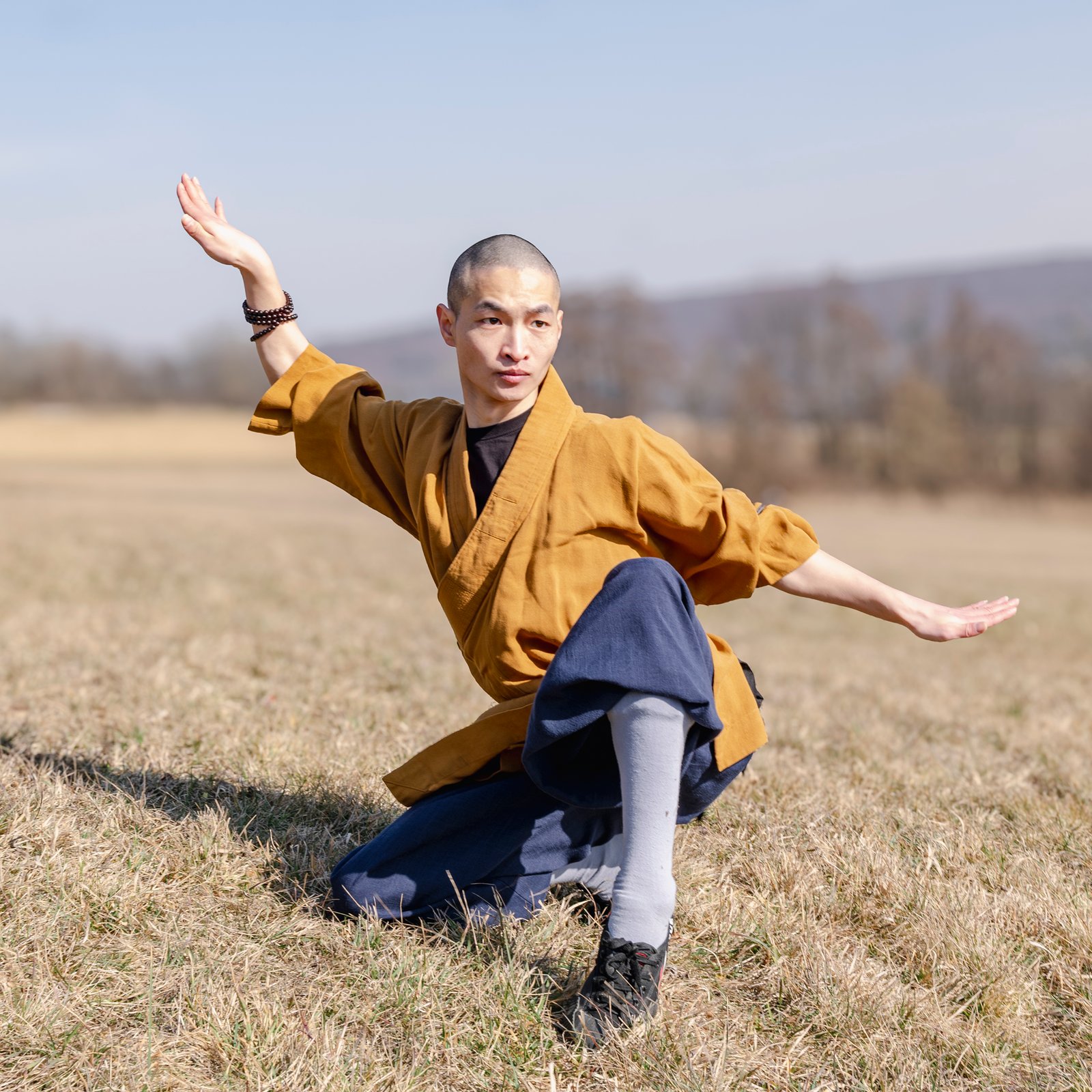 Tierformen enten form