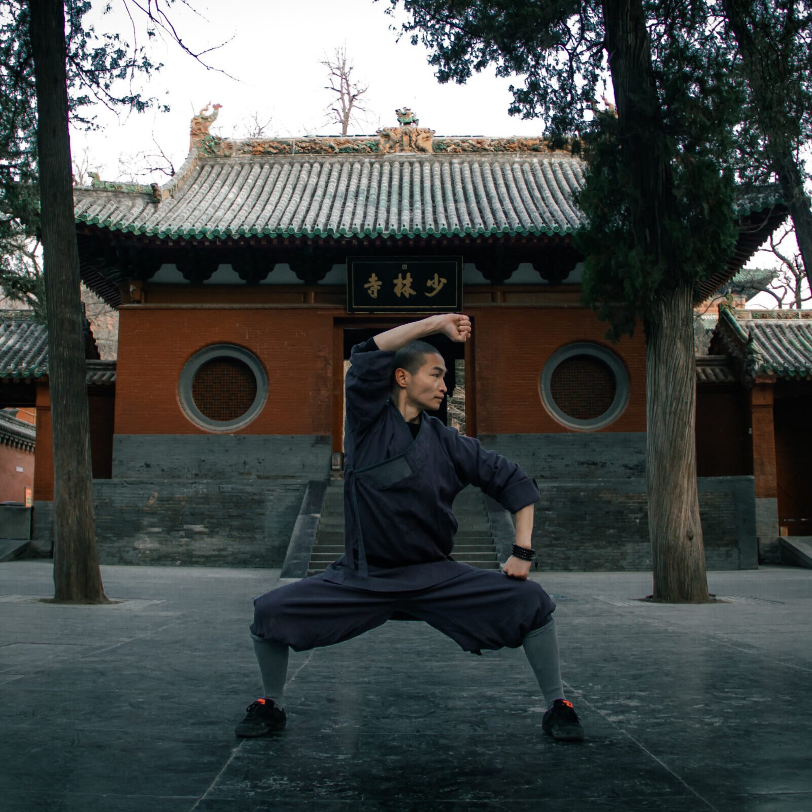 Faustformen er lu da hong quan