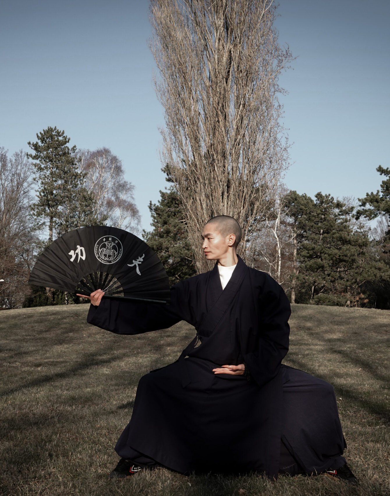 Shaolin Tai Chi fächer