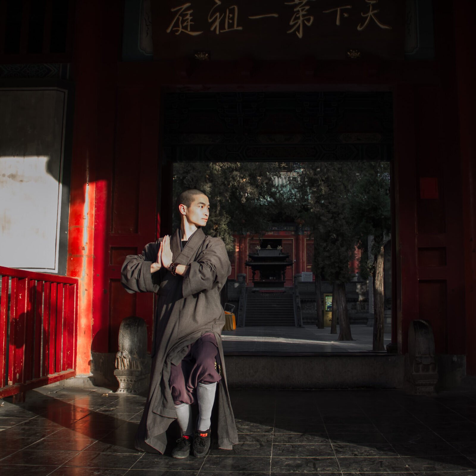 Faustformen chao yang quan