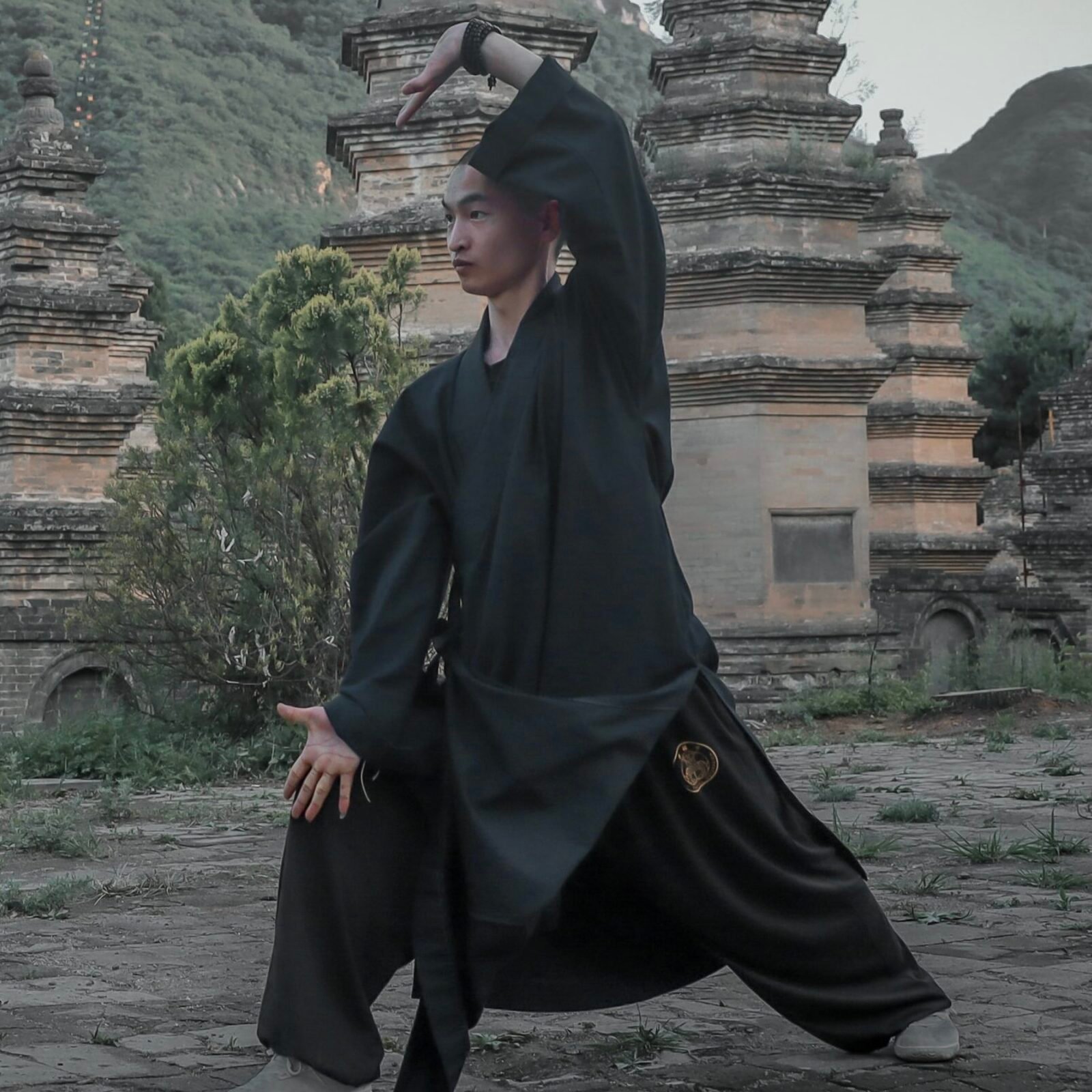 Faustformen xiao hong quan