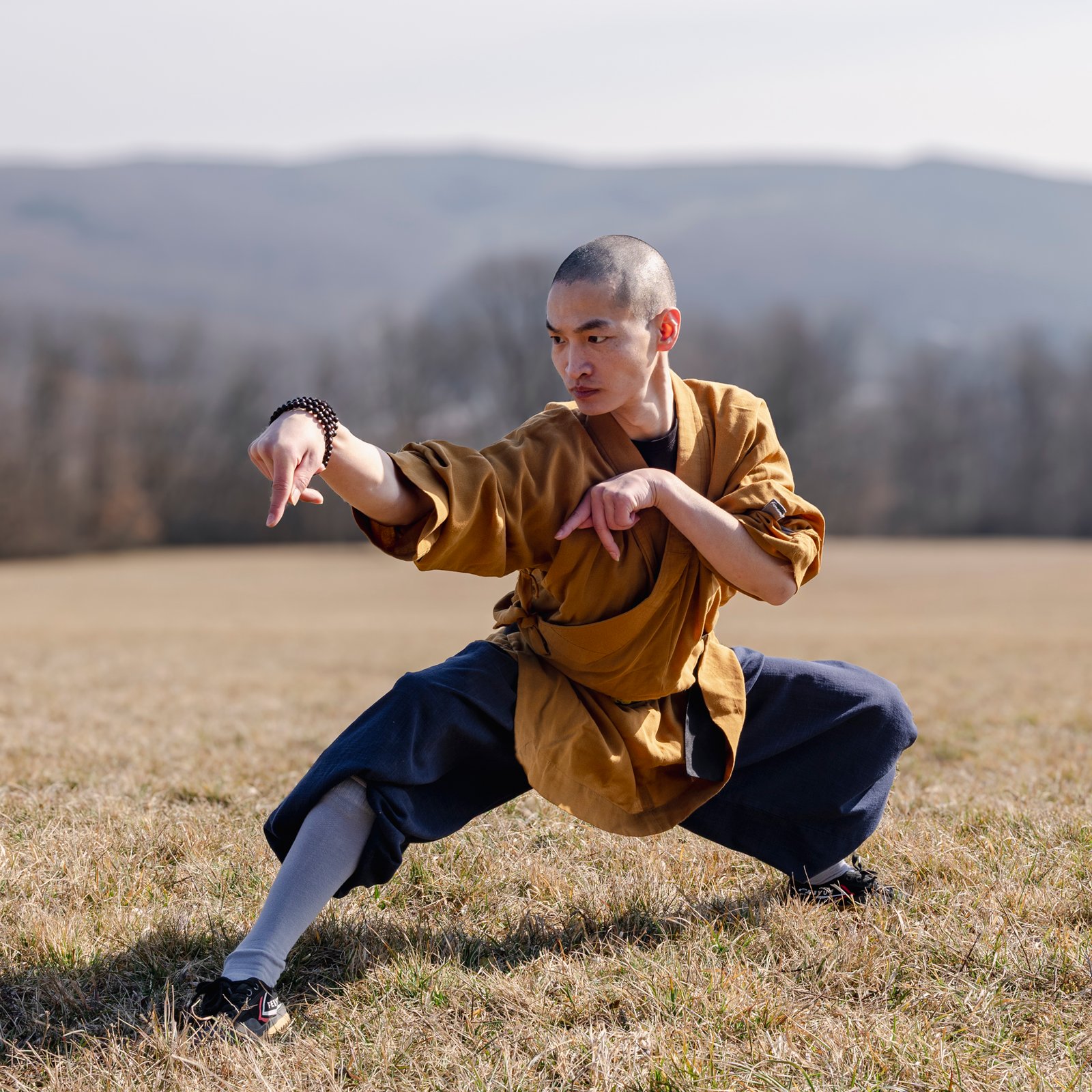 Tierformen gottesanbeterin form