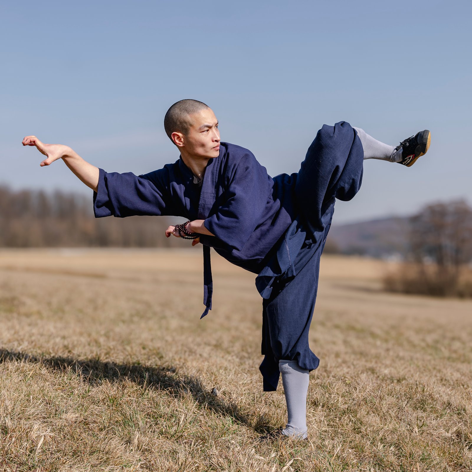 Tierformen hund form