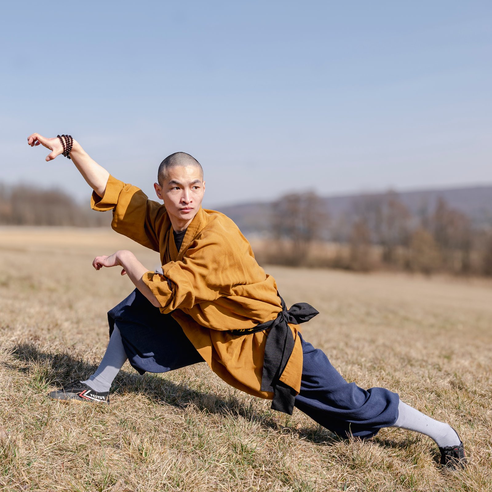 Tierformen leopard form