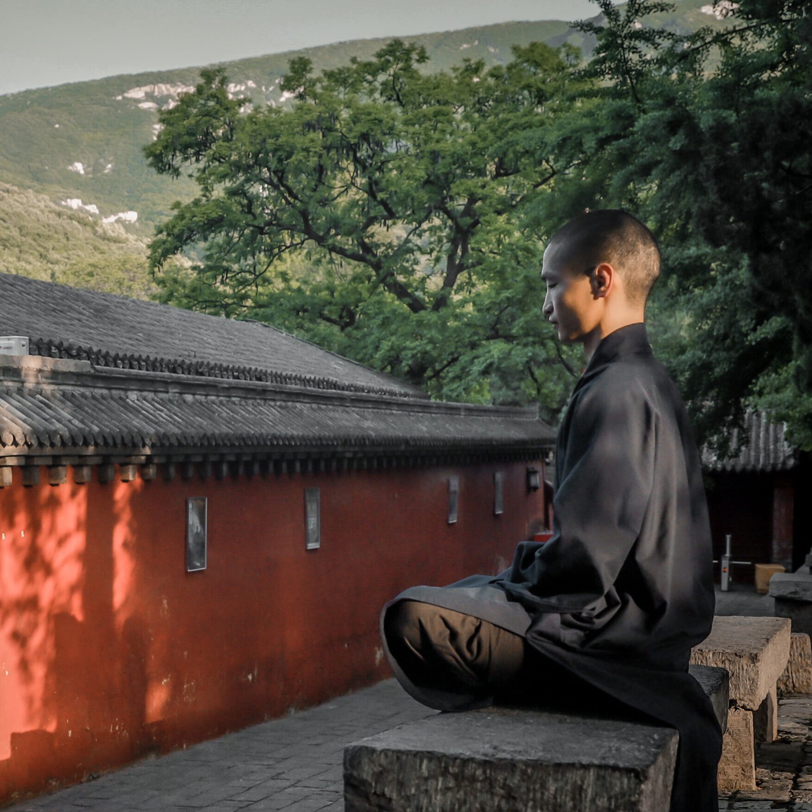 Shaolin Meditation meditation1