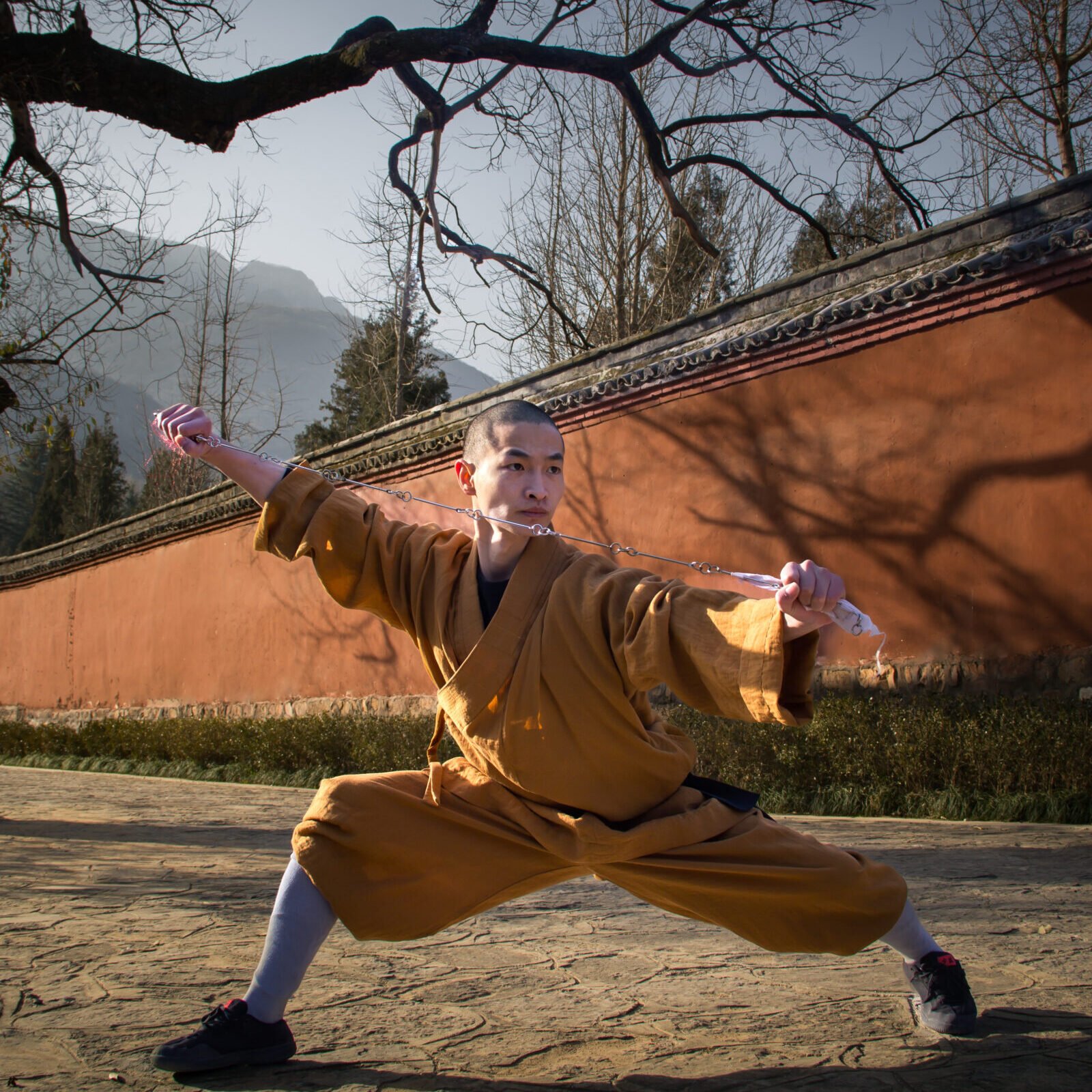 Waffen neun glieder peitsche