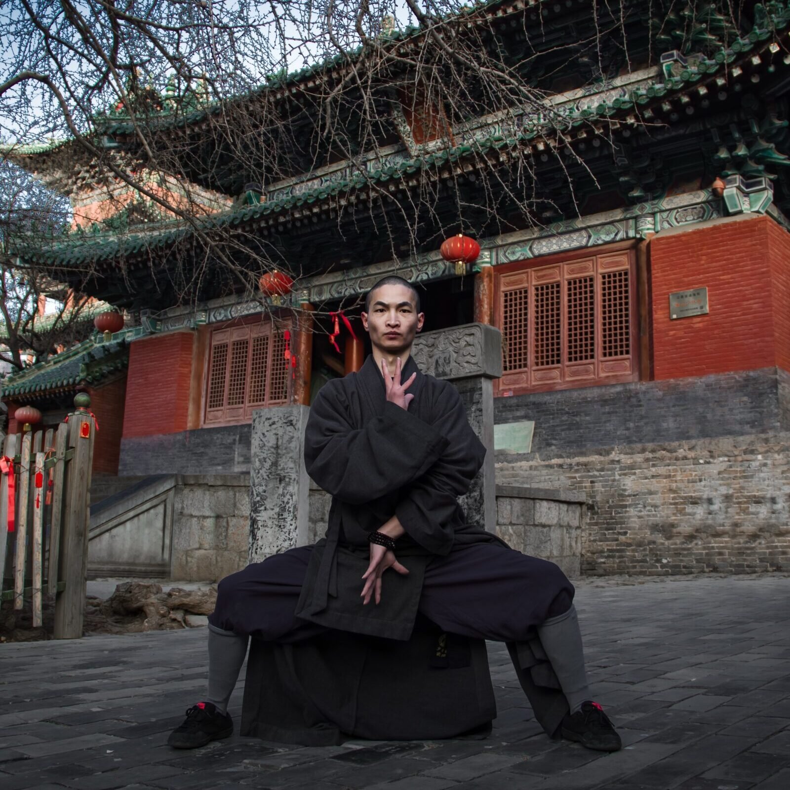 Faustformen qi xing quan