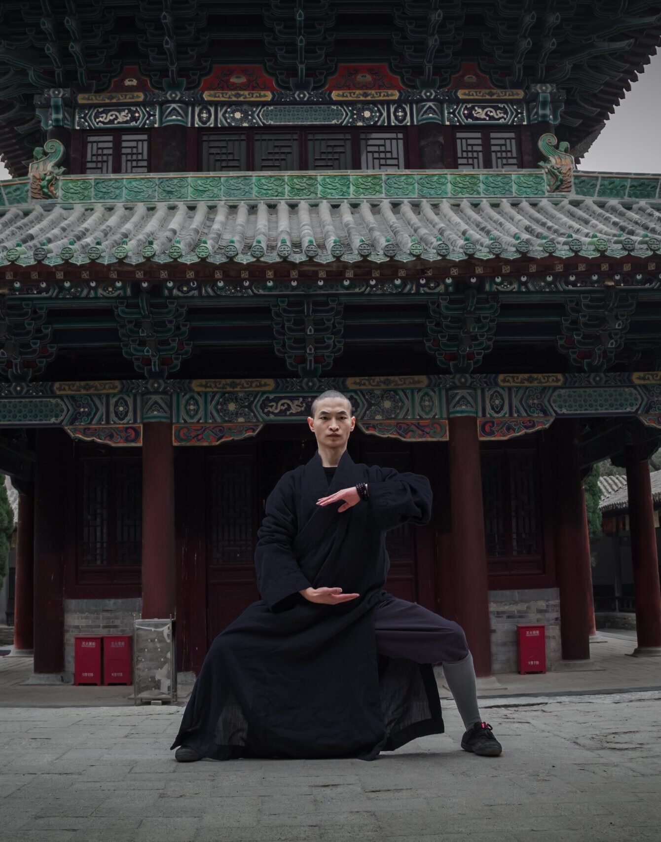 Shaolin Tai Chi rou quan 2