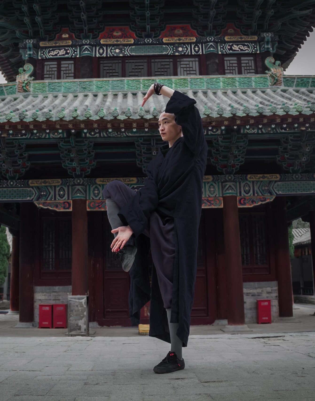 Shaolin Tai Chi rou quan 3