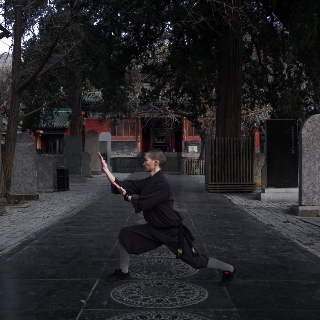 Faustformen san lu da hong quan