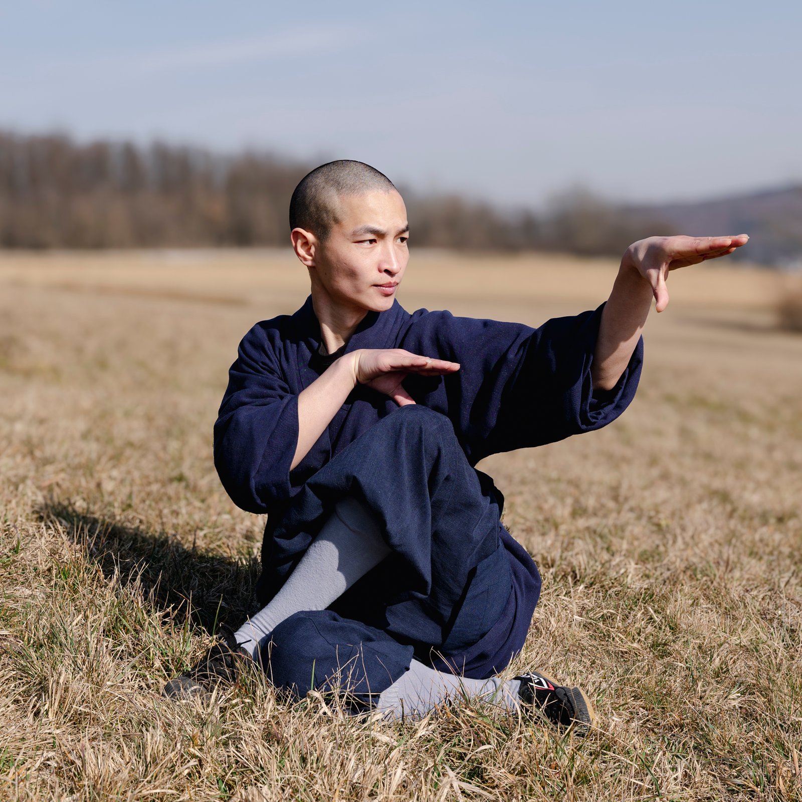 Tierformen schlangen form