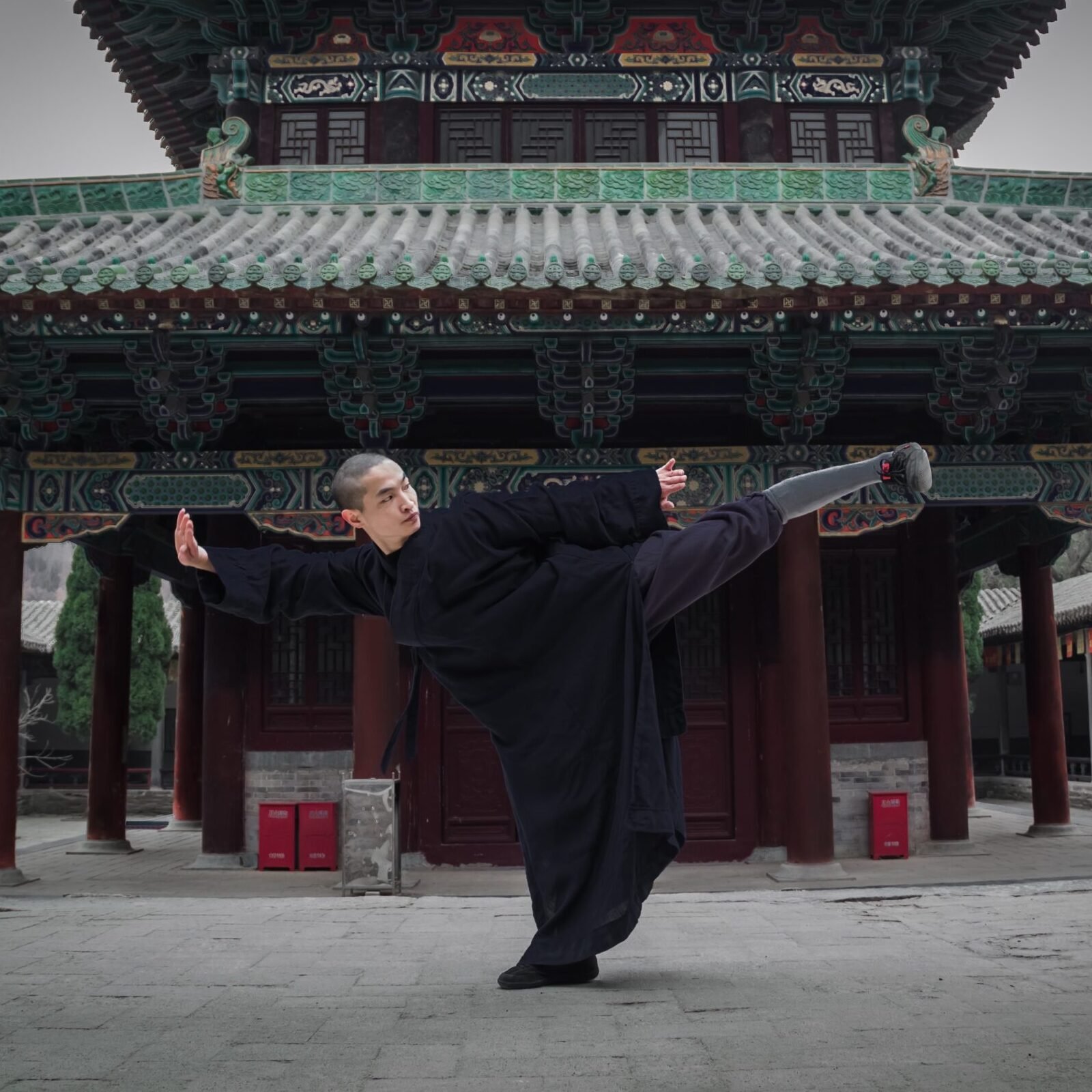 Faustformen shi er lu tan tui