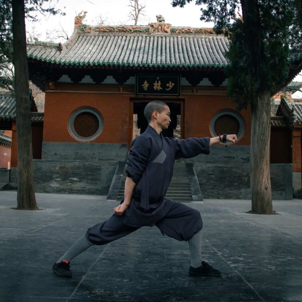 Faustformen shi san quan