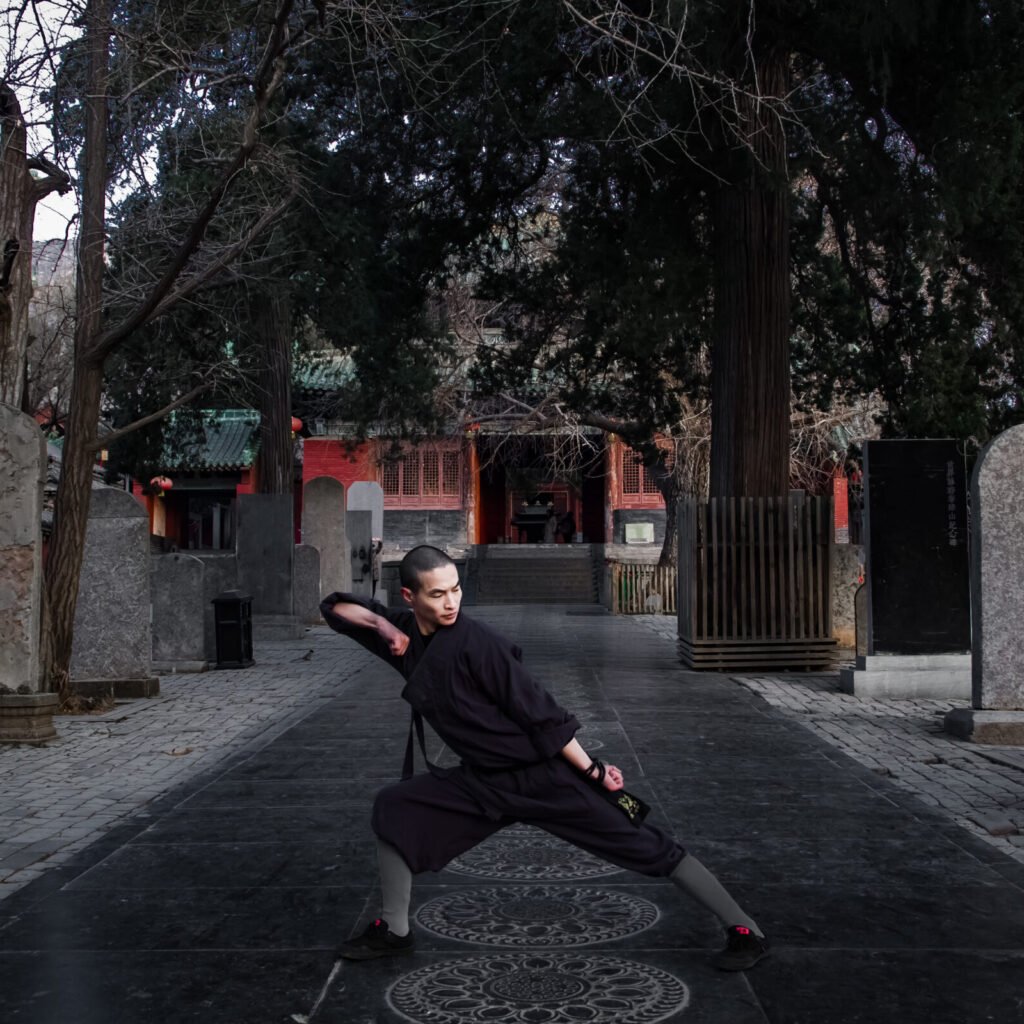 Faustformen taizu chang quan