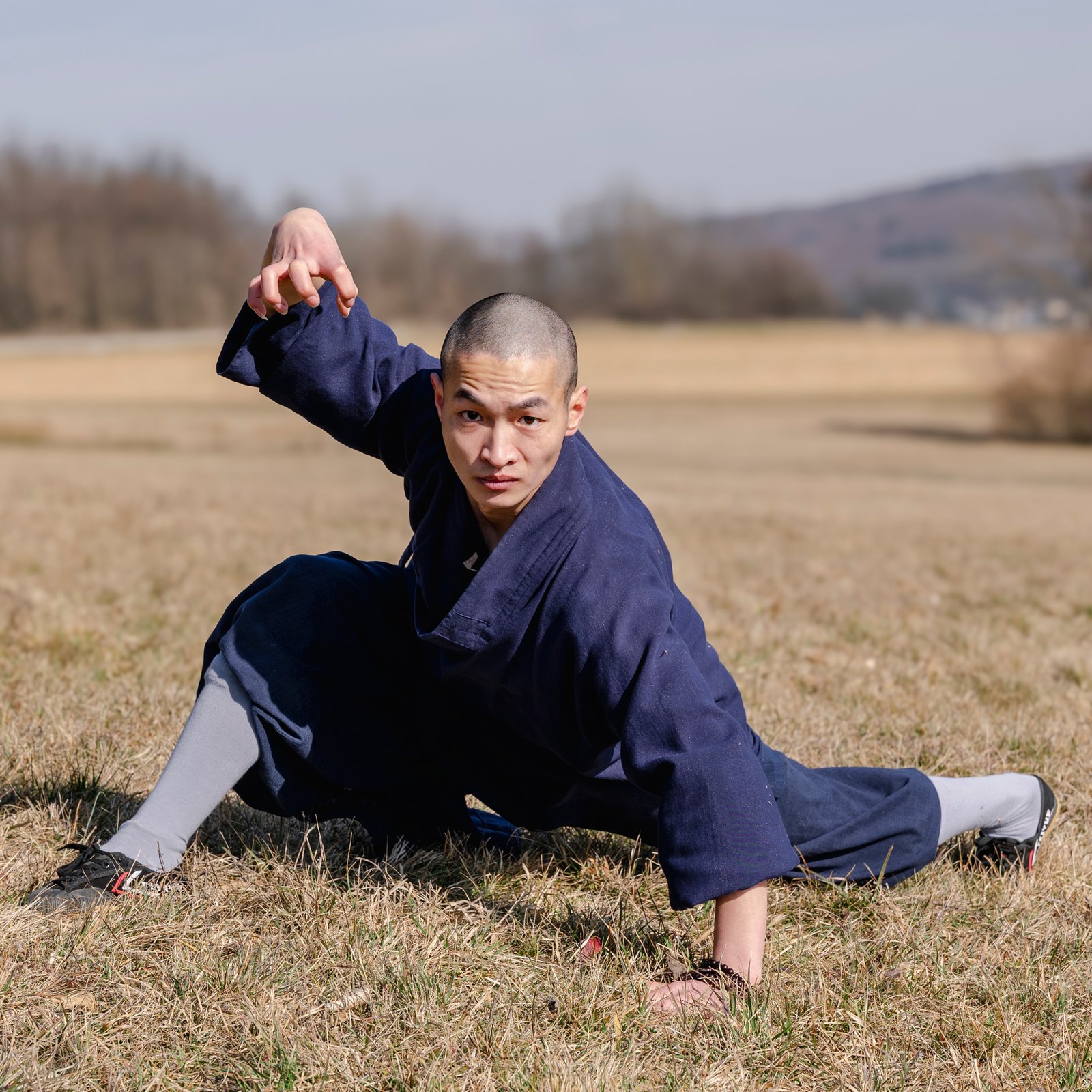 Tierformen tiger form