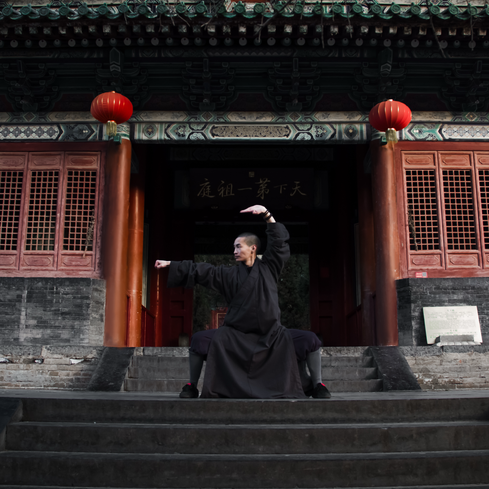 Faustformen wu bu quan