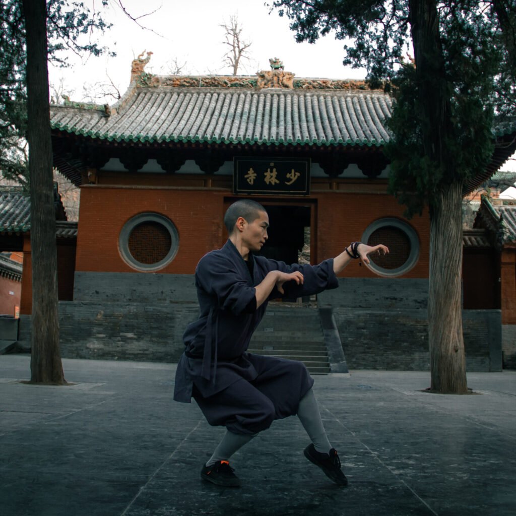 Faustformen wu xing quan