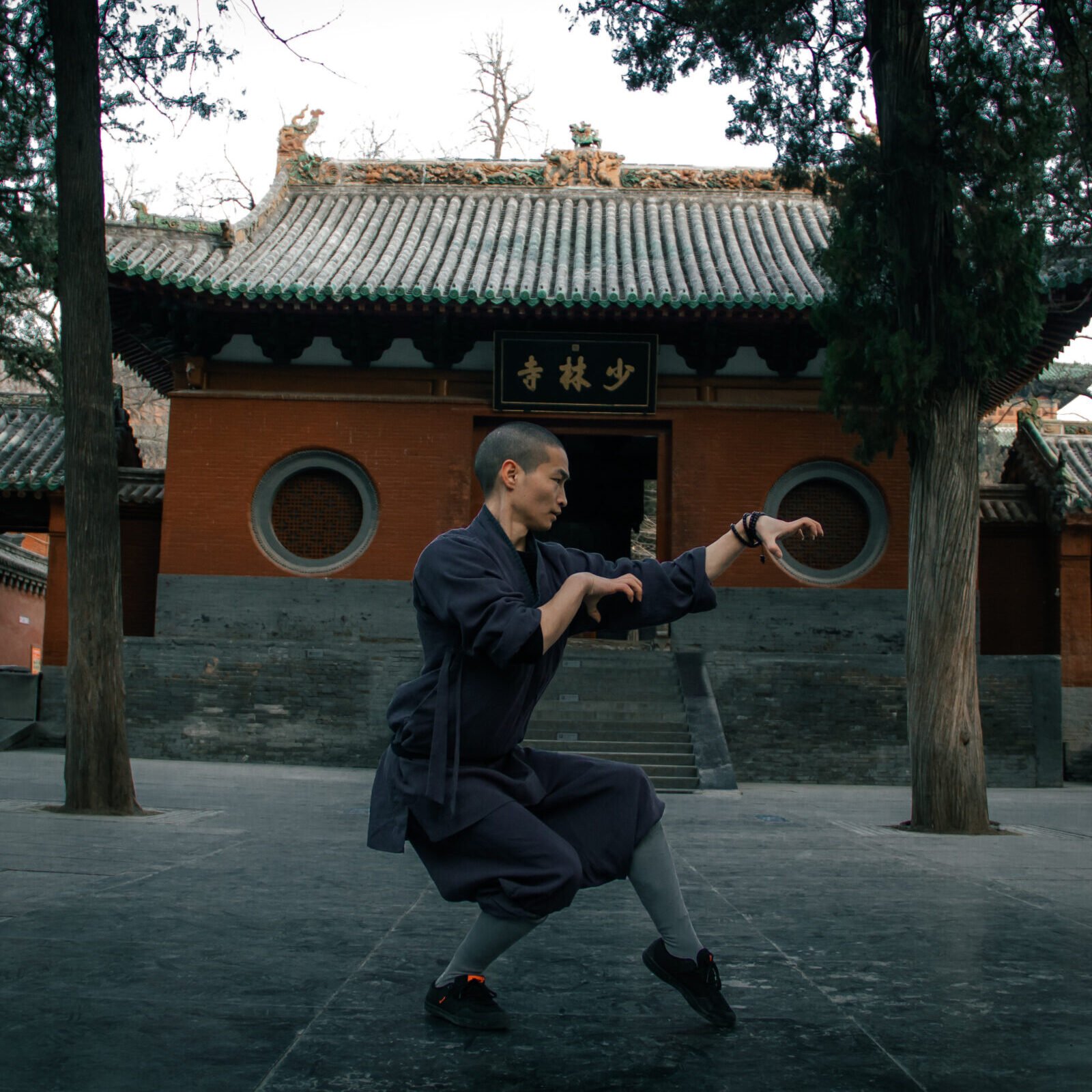 Faustformen wu xing quan