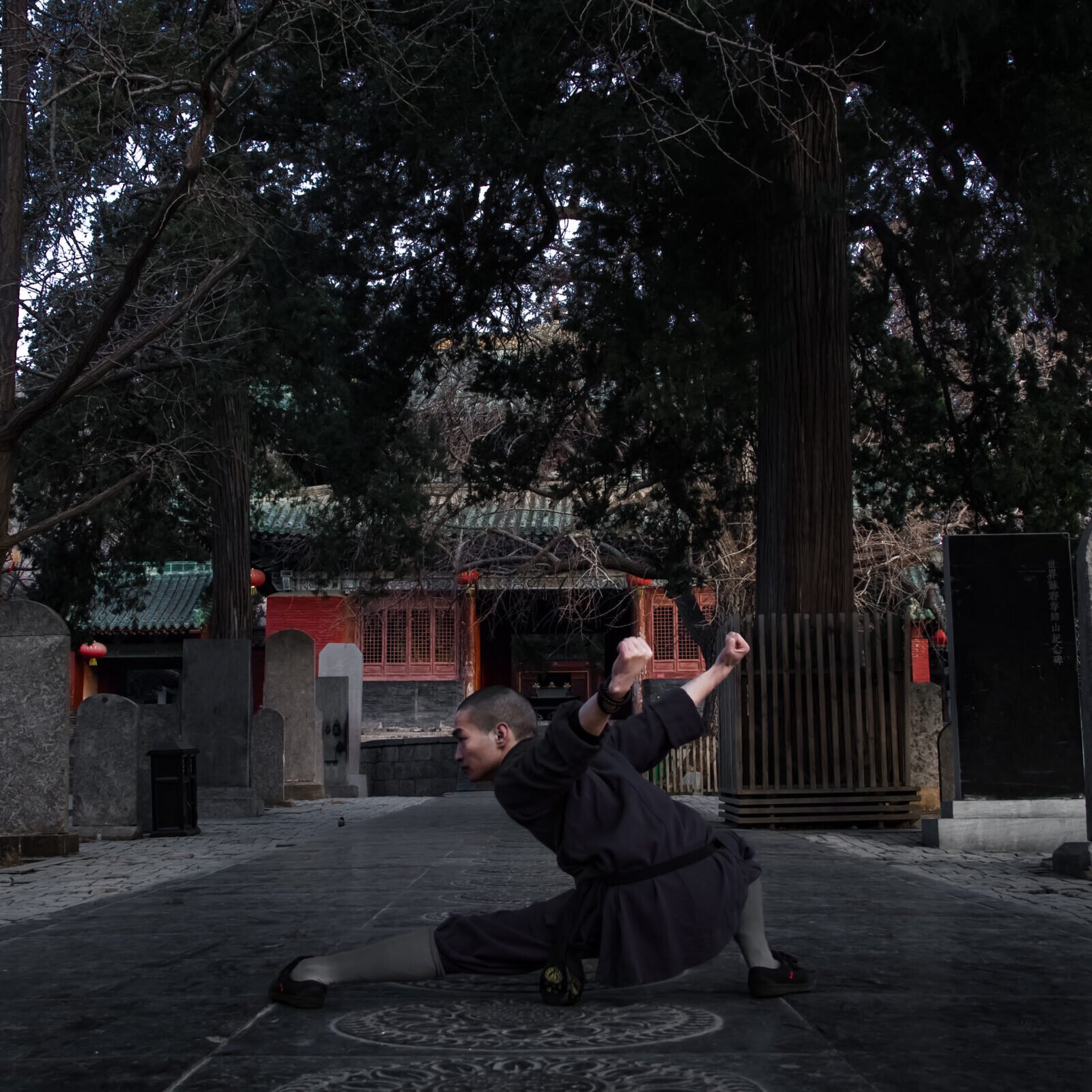 Faustformen xiao luo han quan