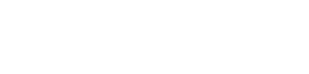 Shaolin Qigong titel chinesisch weiß